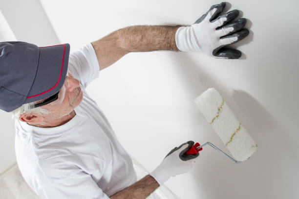Best Attic Mold Removal  in Hillsbo, OR