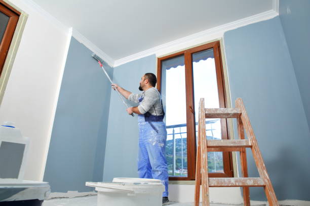 Best Dehumidification Services  in Hillsbo, OR