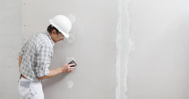 Best Mold Documentation for Insurance Claims  in Hillsbo, OR