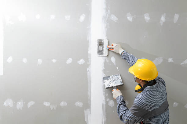 Best Mold Odor Removal Services  in Hillsbo, OR