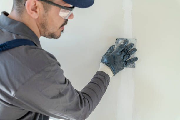Best Water Damage & Mold Remediation  in Hillsbo, OR