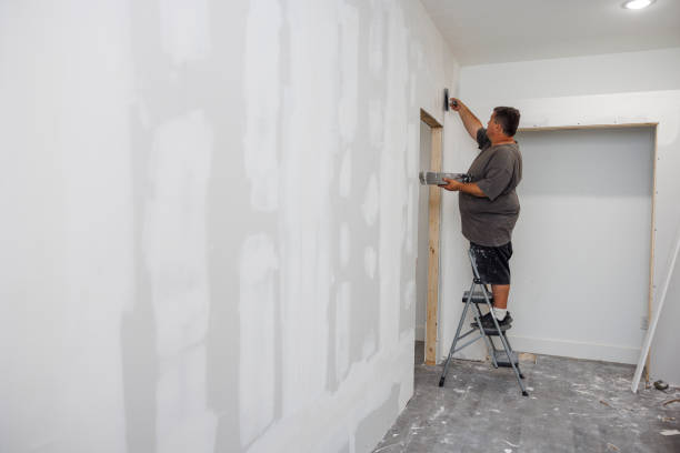 Best Environmental Consulting for Mold Prevention  in Hillsbo, OR