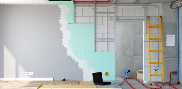 Best Mold Damage Restoration  in Hillsbo, OR