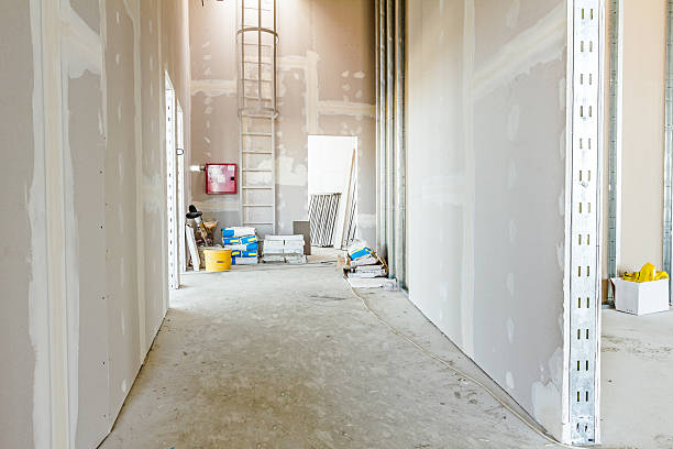 Best Basement Mold Removal  in Hillsbo, OR