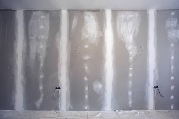 Reliable Hillsboro, OR Mold Removal Solutions